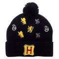 Harry Potter Hogwarts Houses Embroidered Logos Pom Beanie