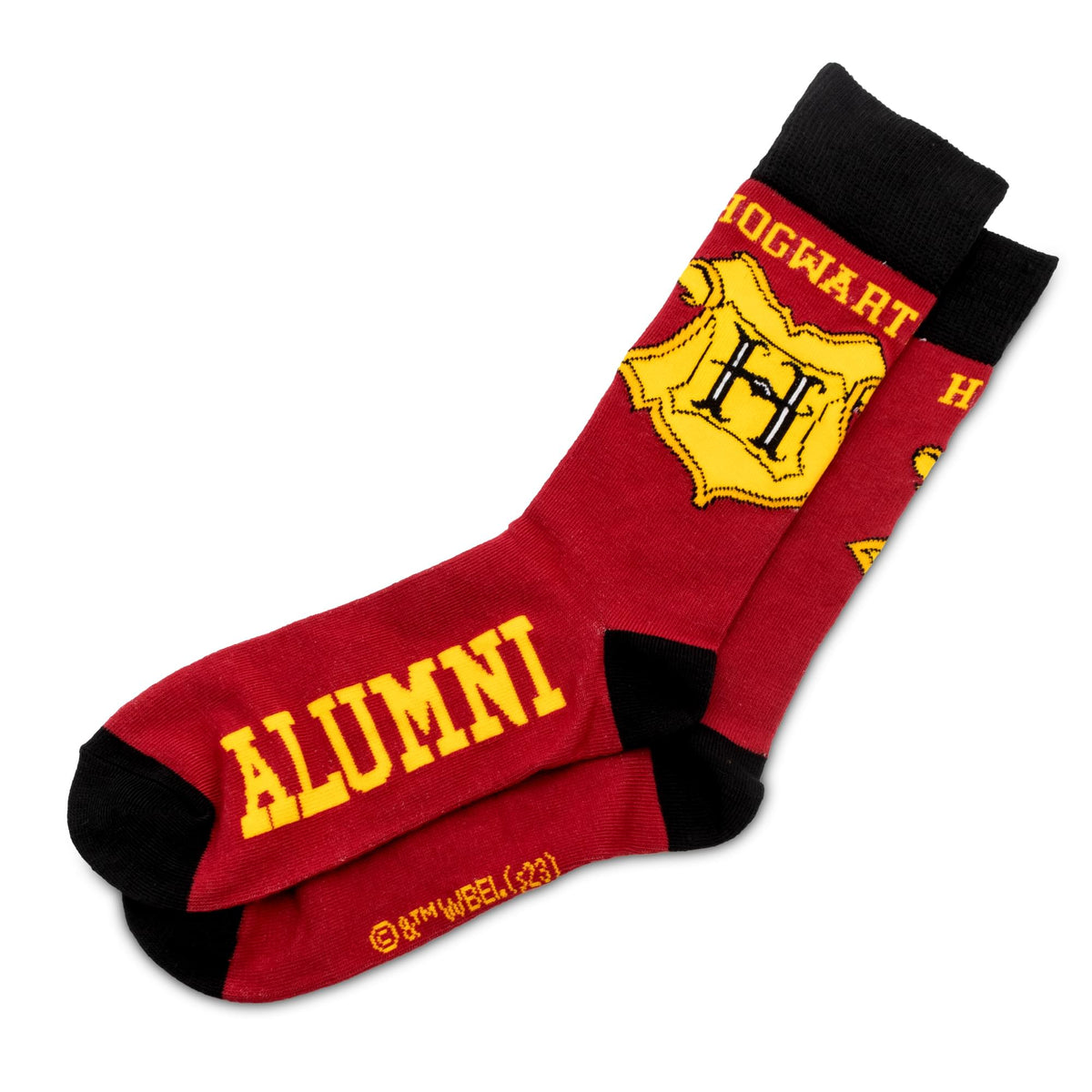 Harry Potter Hogwarts Alumni Journal and Sock Bundle