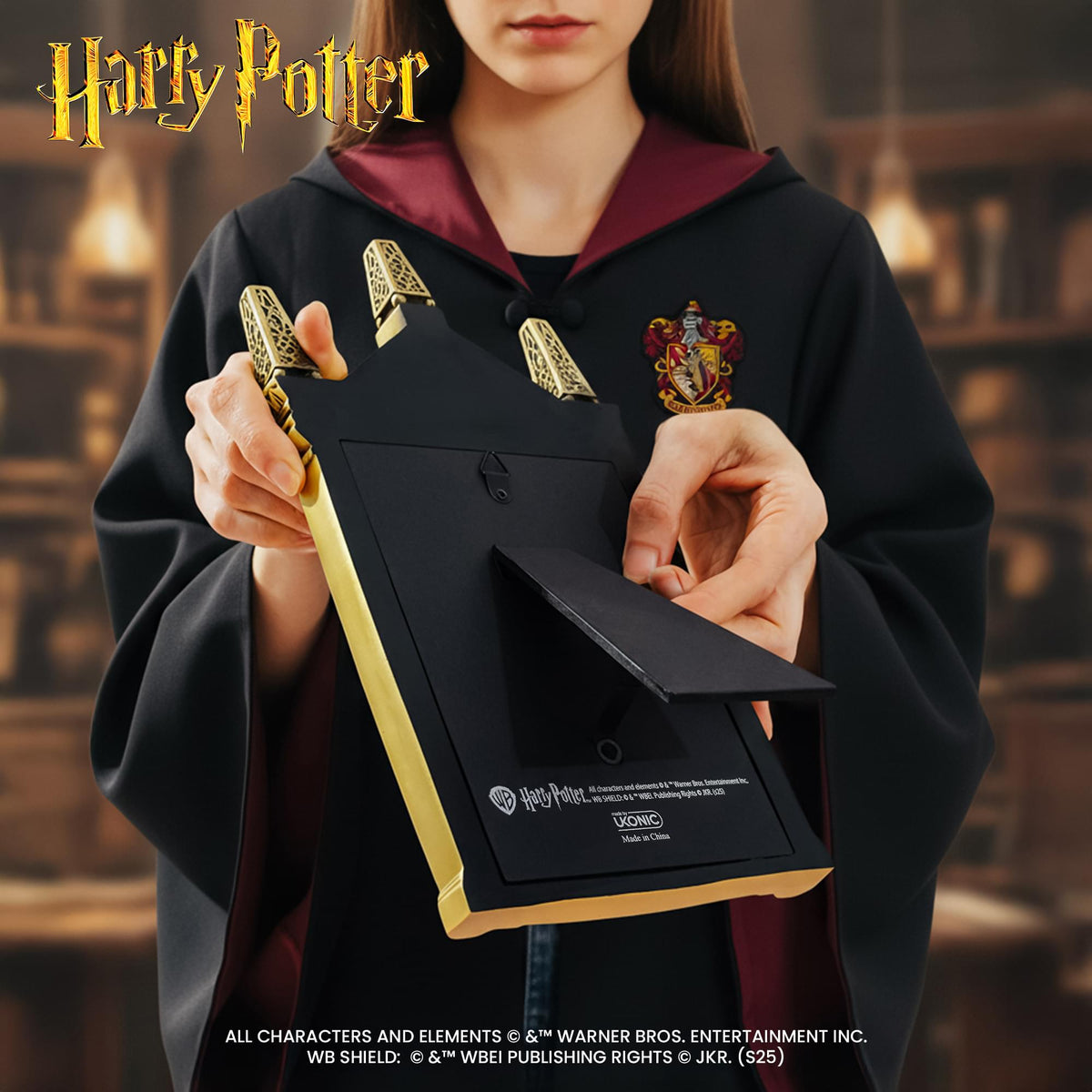 Harry Potter Mirror Of Erised Wall Decor | 12 Inches Tall