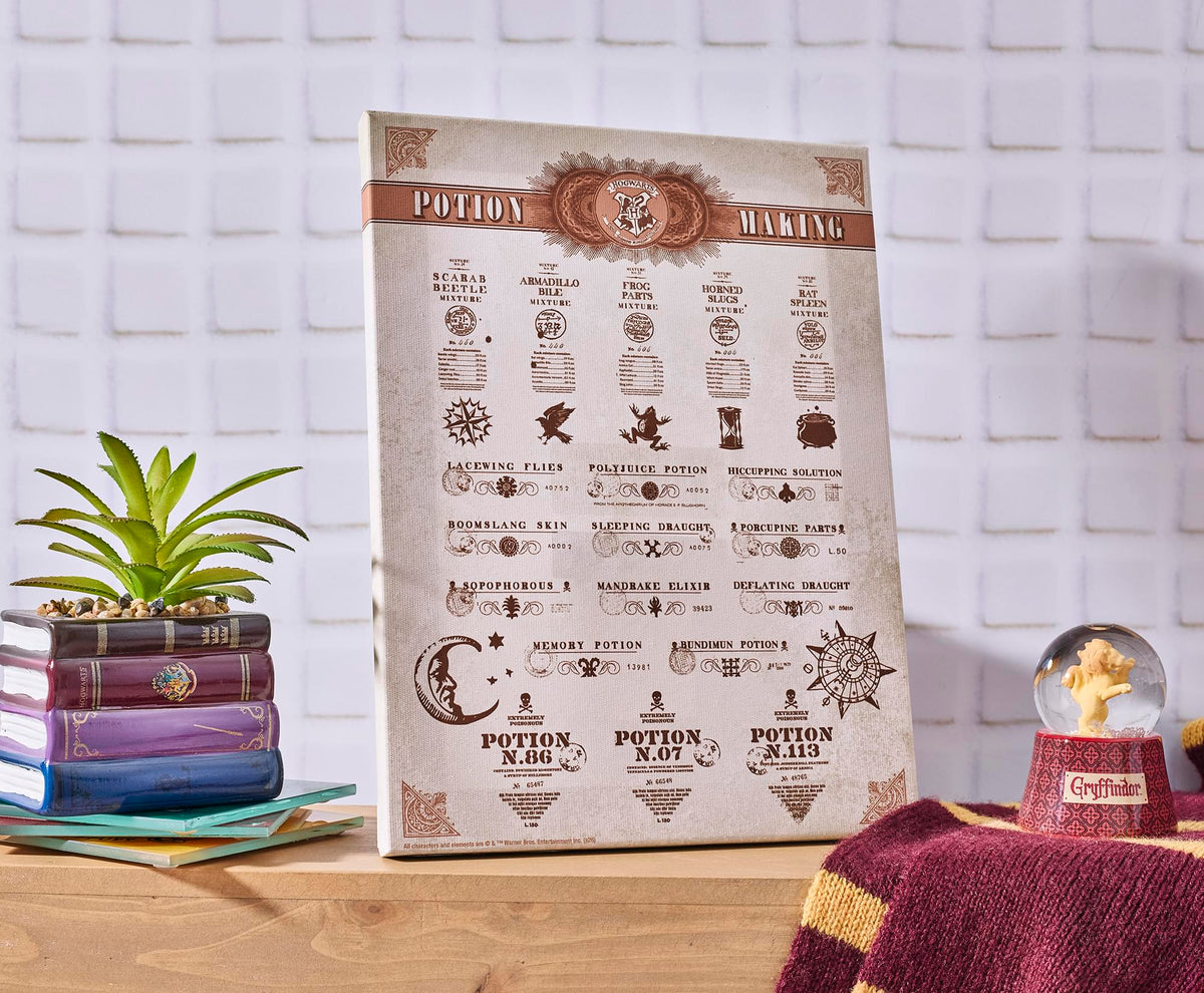 Harry Potter Potion Chart Canvas Wall Art With Magnets | 7.5 x 10 Inches