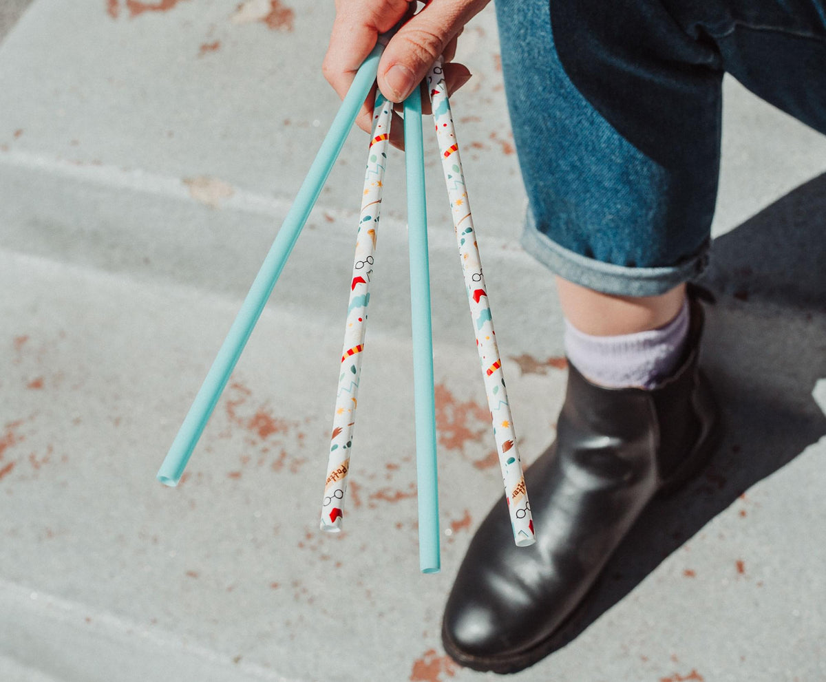 Harry Potter Icons Reusable Plastic Straws | Set of 4