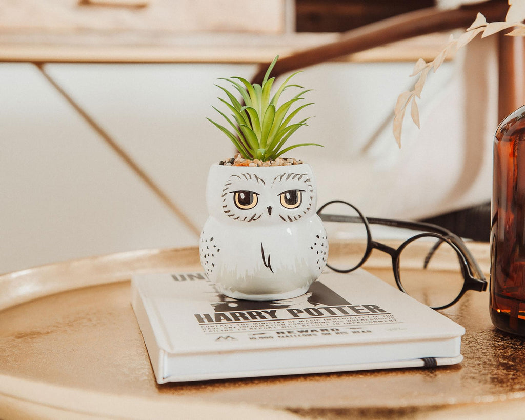 Harry Potter Hedwig 3-Inch Ceramic Mini Planter with Artificial Succulent