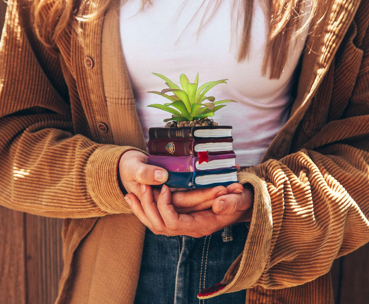 Harry Potter Book Stack 3-Inch Ceramic Planter With Artificial Succulent