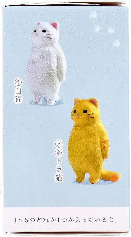 Aile Figure Blank Cat Box Pack of 1 Tabletop Cat Collectible