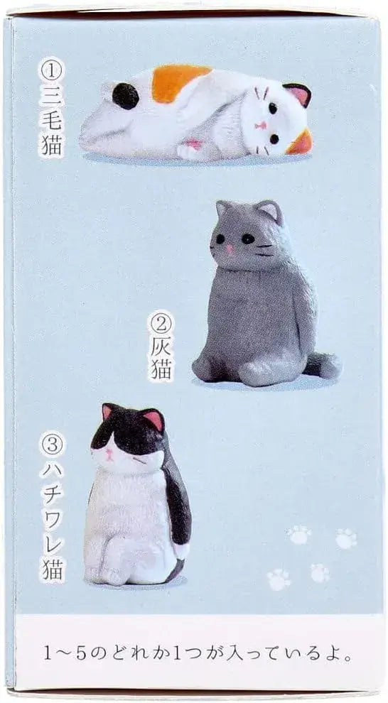 Aile Figure Blank Cat Box Pack of 1 Tabletop Cat Collectible