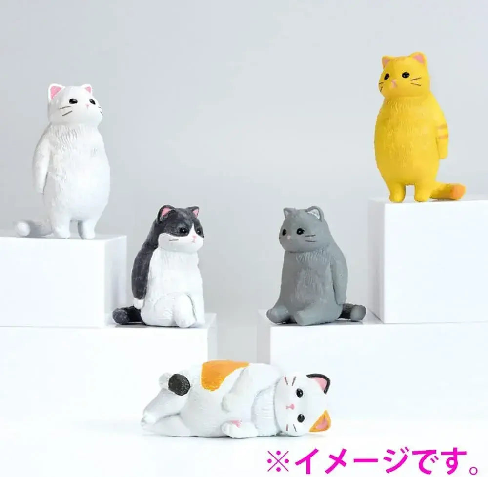 Aile Figure Blank Cat Box Pack of 1 Tabletop Cat Collectible