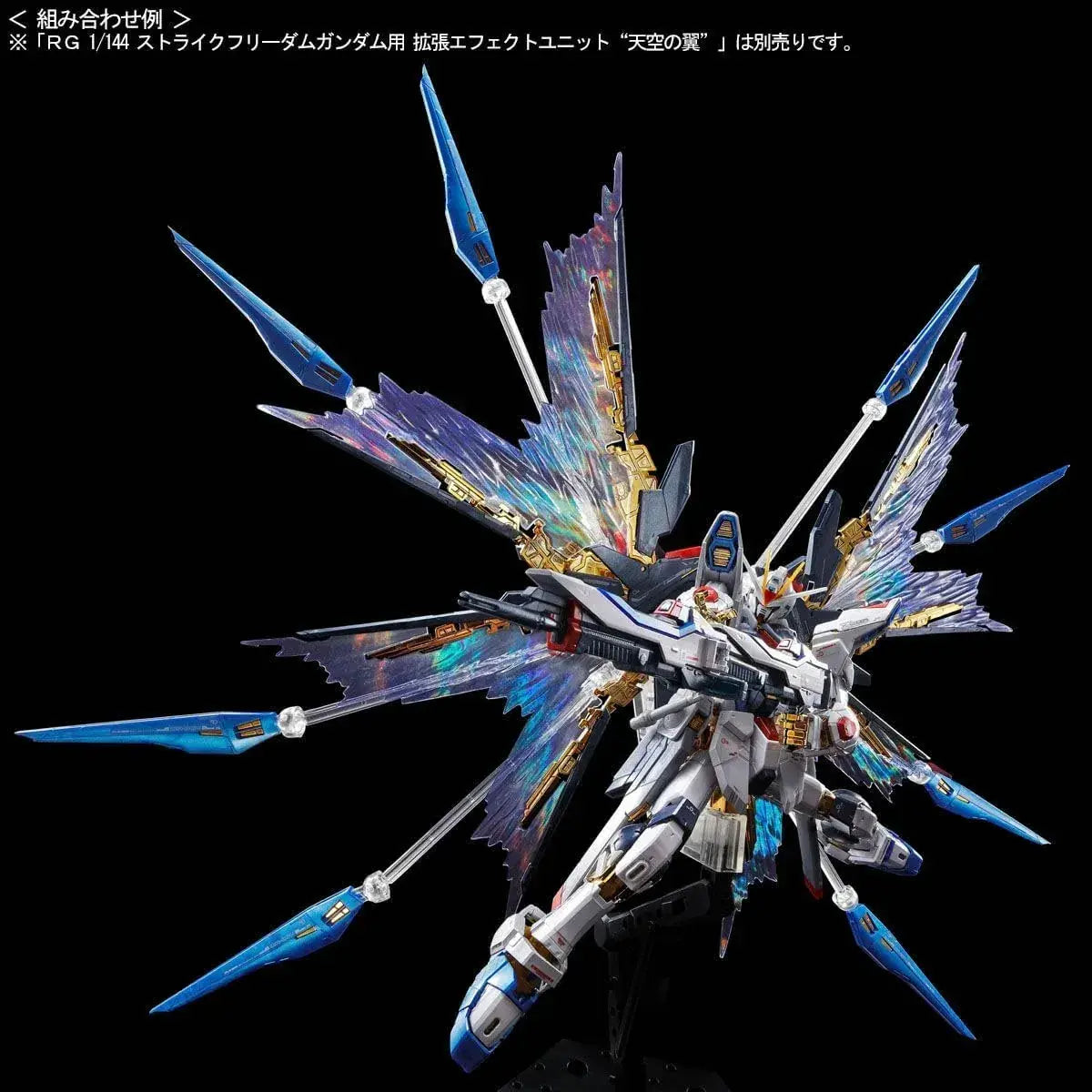 Bandai 1/144 Strike Freedom Gundam Titanium Finish RG Model Kit