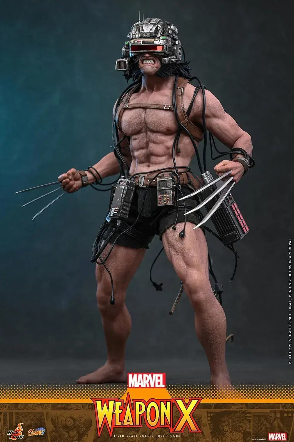 Hot Toys Marvel Weapon X Masterpiece Articulated 1/6 Scale Figure