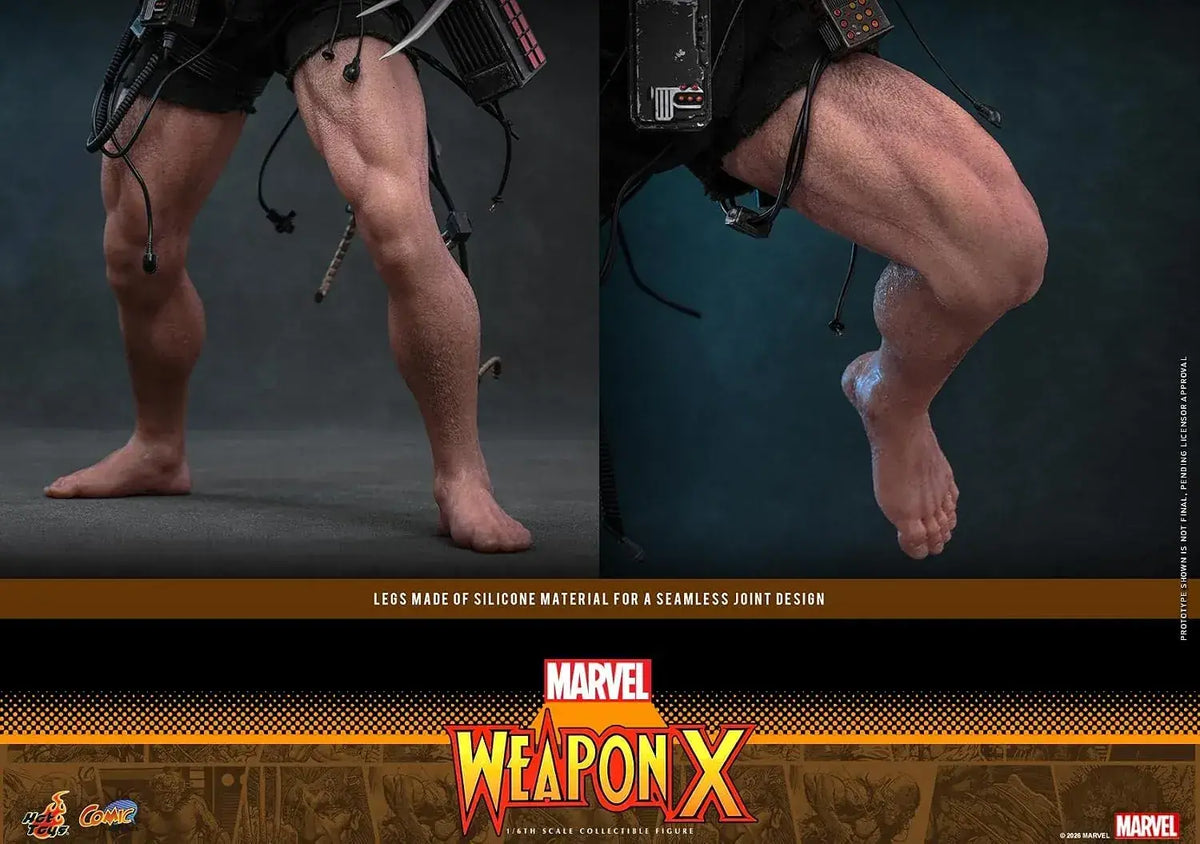 Hot Toys Marvel Weapon X Masterpiece Articulated 1/6 Scale Figure