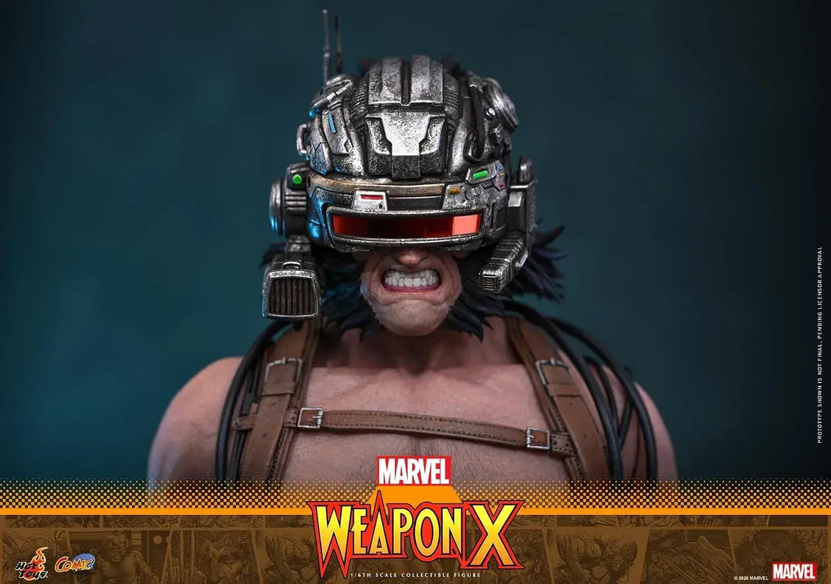 Hot Toys Marvel Weapon X Masterpiece Articulated 1/6 Scale Figure
