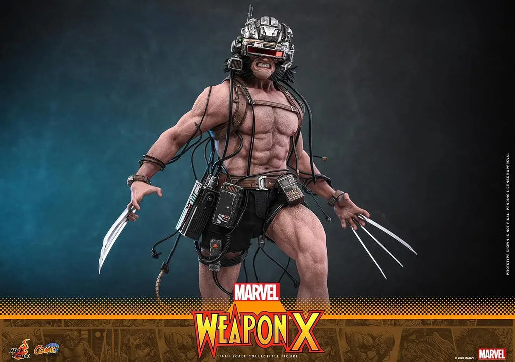 Hot Toys Marvel Weapon X Masterpiece Articulated 1/6 Scale Figure