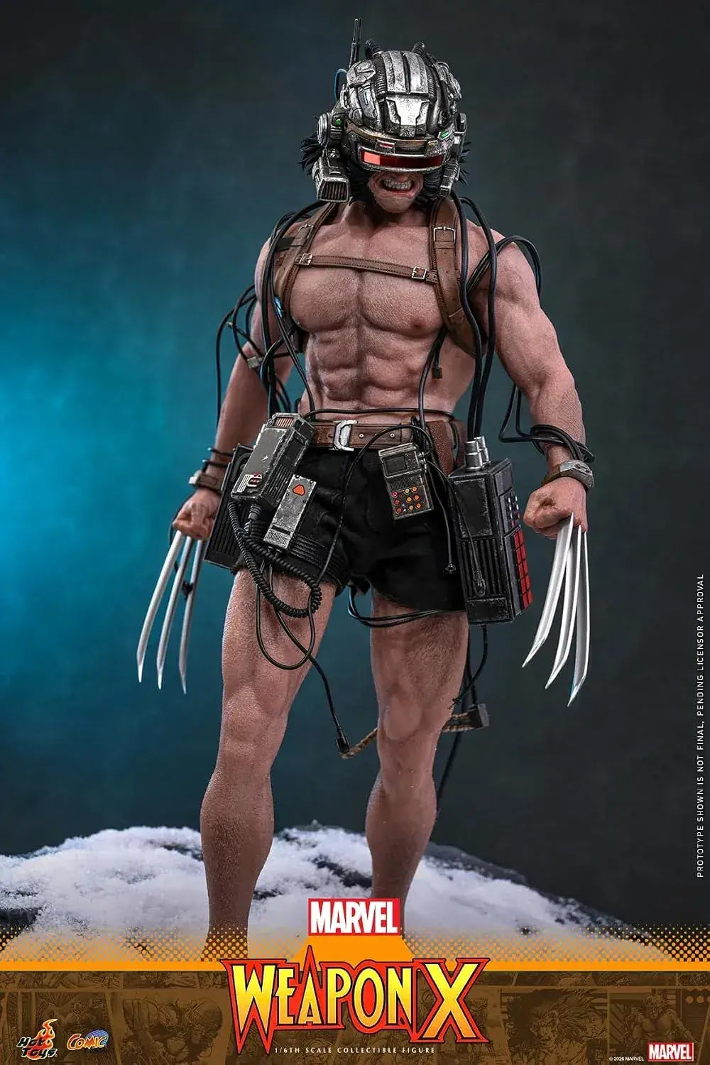 Hot Toys Marvel Weapon X Masterpiece Articulated 1/6 Scale Figure