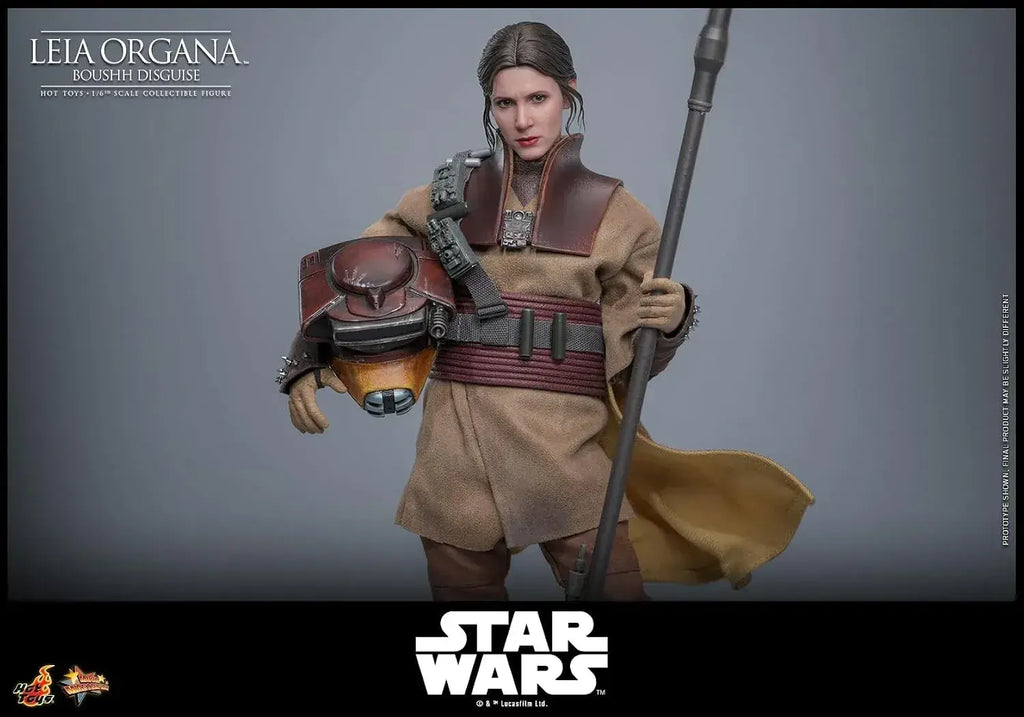 Hot Toys Star Wars Leia Organa Boushh 1/6 Scale Figure 27 cm