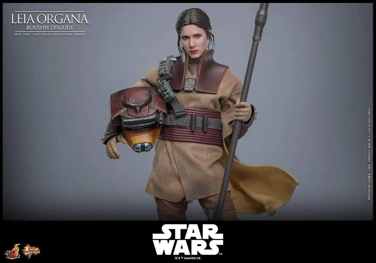 Hot Toys Star Wars Leia Organa Boushh 1/6 Scale Figure 27 cm