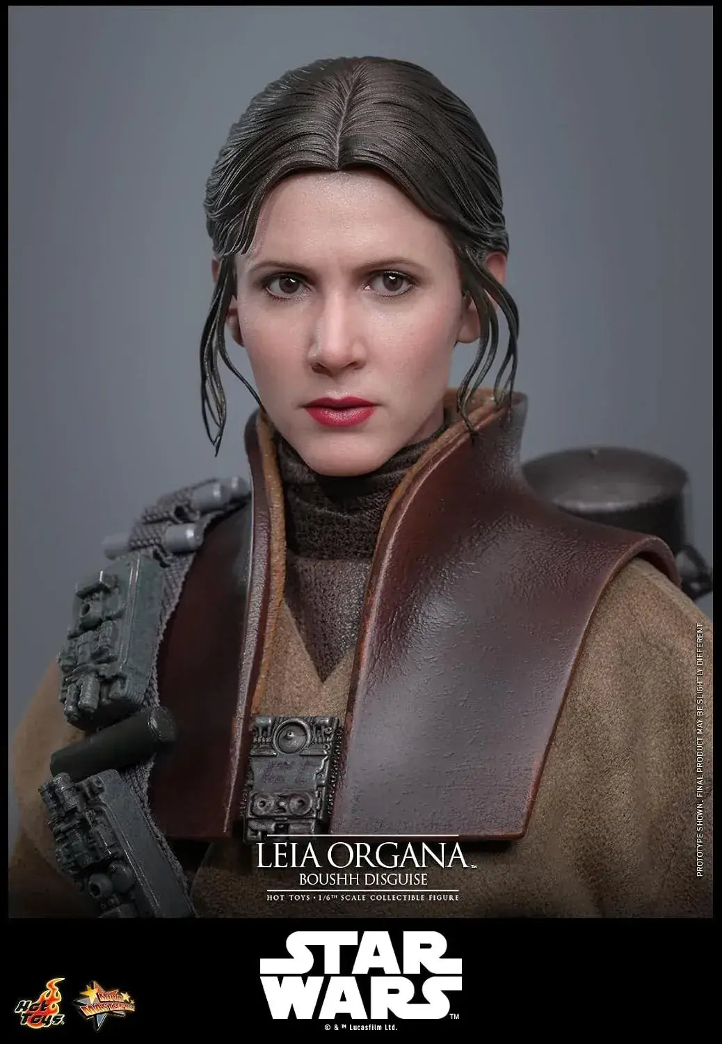 Hot Toys Star Wars Leia Organa Boushh 1/6 Scale Figure 27 cm