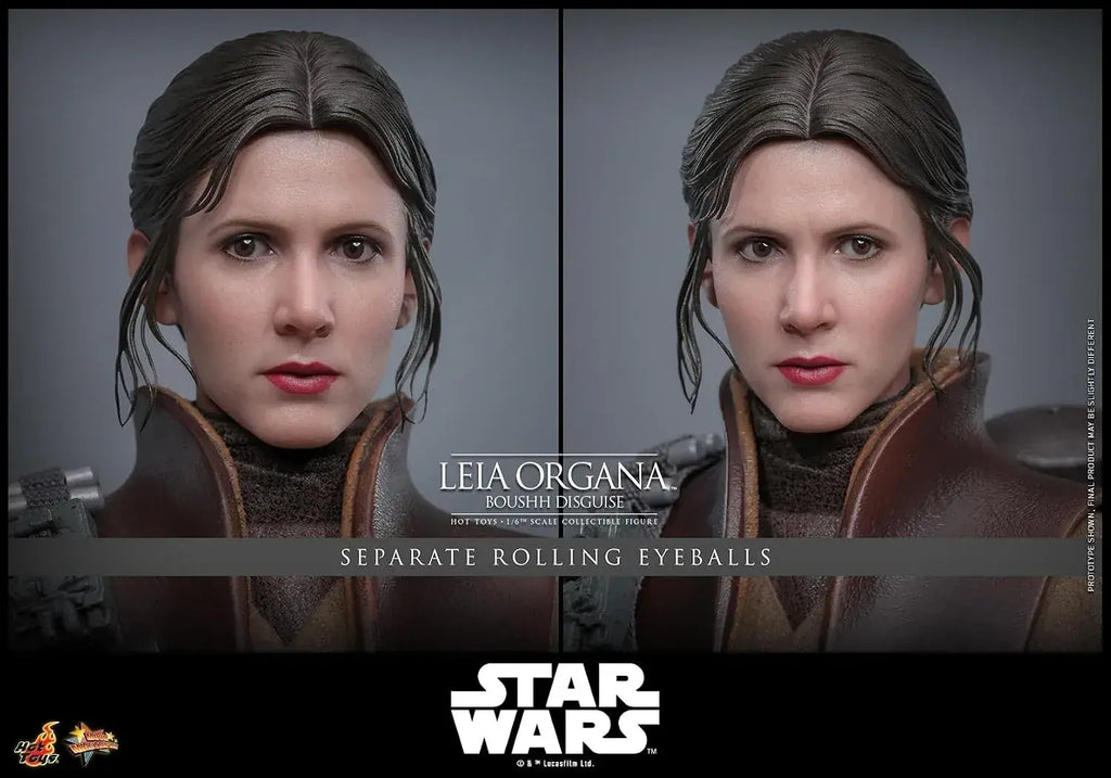 Hot Toys Star Wars Leia Organa Boushh 1/6 Scale Figure 27 cm
