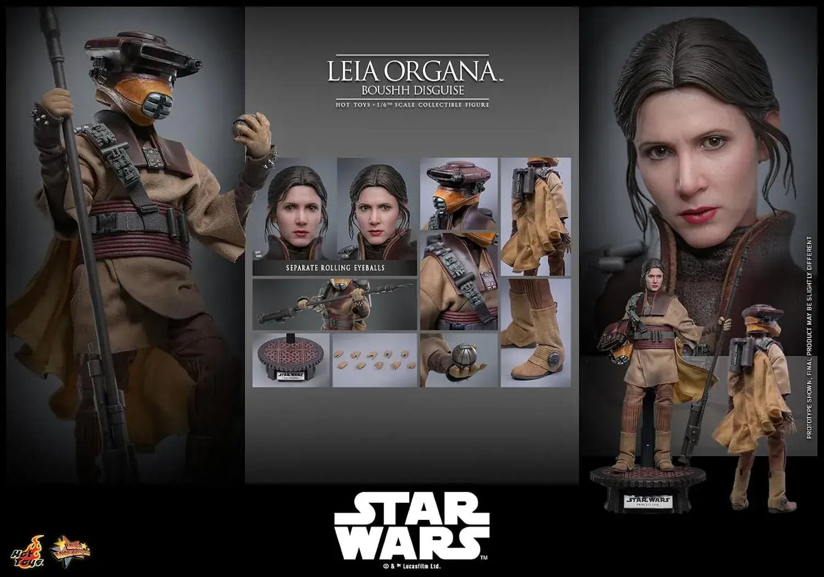 Hot Toys Star Wars Leia Organa Boushh 1/6 Scale Figure 27 cm
