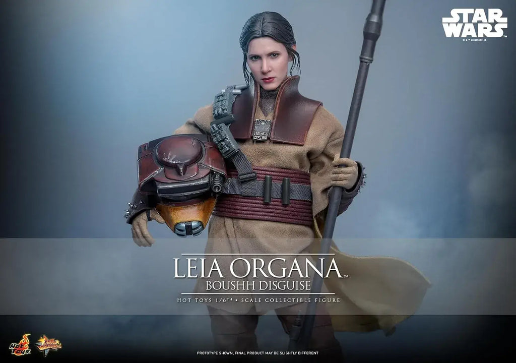 Hot Toys Star Wars Leia Organa Boushh 1/6 Scale Figure 27 cm