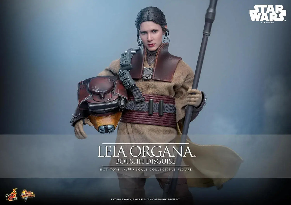 Hot Toys Star Wars Leia Organa Boushh 1/6 Scale Figure 27 cm