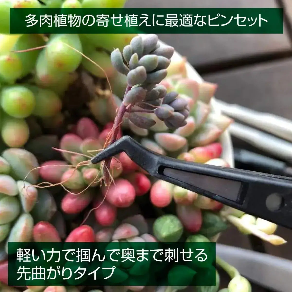 Hozan Plastic Tip Tweezers: Precision Handling Tool, Single Unit